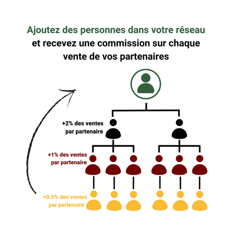 DAMESARA ASSOCIÉS Starter