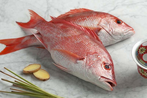Red Snapper Frozen (small) 10lbs